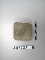 藏品(磨製石錛)的圖片